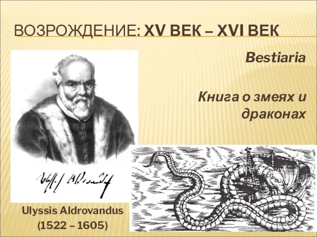 ВОЗРОЖДЕНИЕ: ХV ВЕК – ХVI ВЕК Ulyssis Aldrovandus (1522 – 1605) Bestiaria