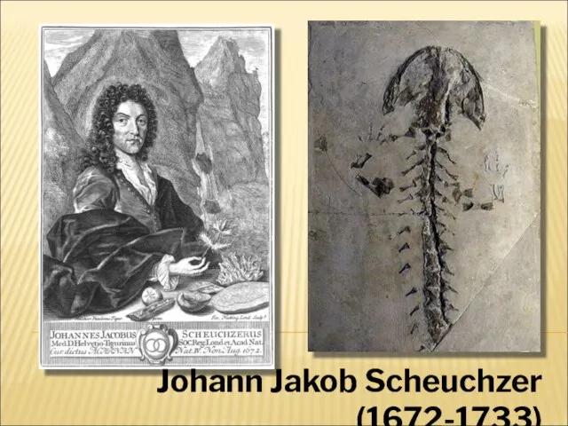 Johann Jakob Scheuchzer (1672-1733)