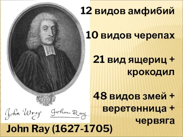 John Ray (1627-1705) 12 видов амфибий 10 видов черепах 21 вид ящериц