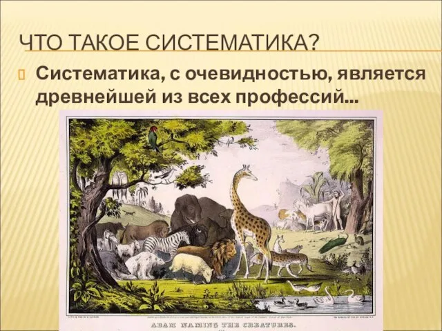 ЧТО ТАКОЕ СИСТЕМАТИКА? Систематика, с очевидностью, является древнейшей из всех профессий...