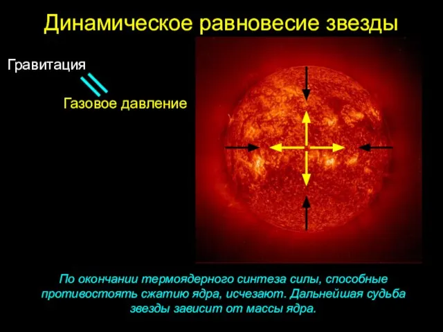 Динамическое равновесие звезды По окончании термоядерного синтеза силы, способные противостоять сжатию ядра,