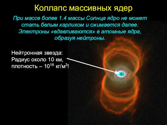 Коллапс массивных ядер При массе более 1.4 массы Солнца ядро не может