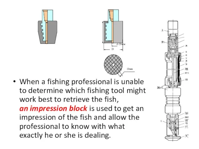 When a fishing professional is unable to determine which fishing tool might