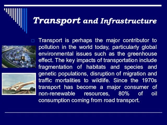 Transport and Infrastructure Transport is perhaps the major contributor to pollution in