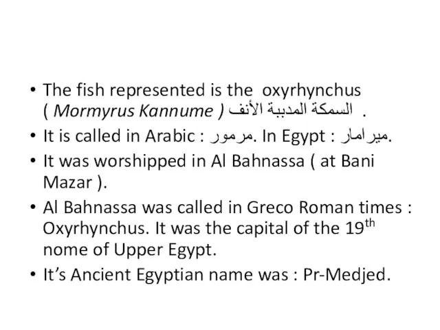 The fish represented is the oxyrhynchus ( Mormyrus Kannume ) السمكة المدببة