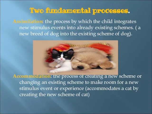 Two fundamental processes. Assimilation: the process by which the child integrates new
