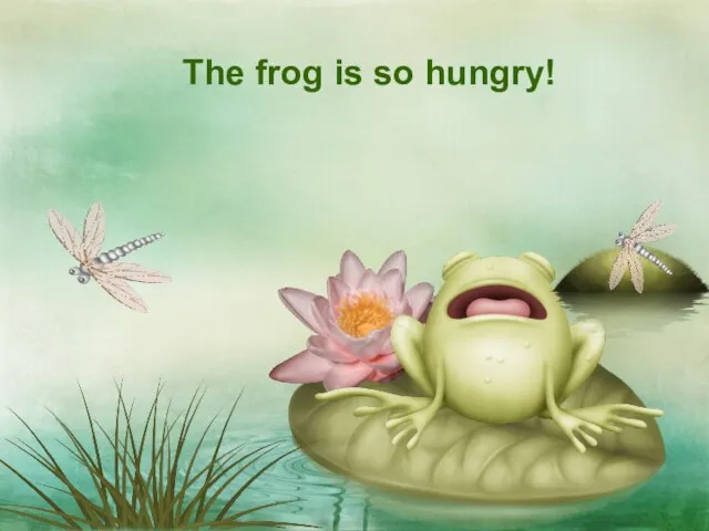 The frog is so hungry!