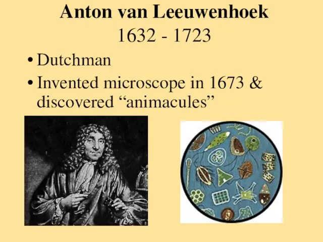 Anton van Leeuwenhoek 1632 - 1723 Dutchman Invented microscope in 1673 & discovered “animacules”