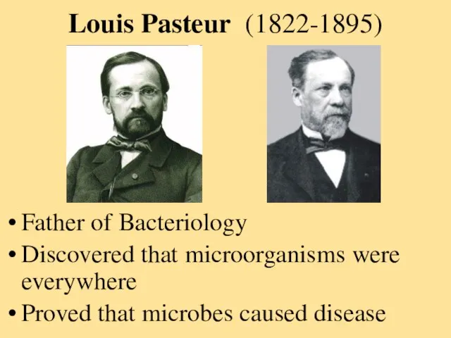 Louis Pasteur (1822-1895) Father of Bacteriology Discovered that microorganisms were everywhere Proved that microbes caused disease