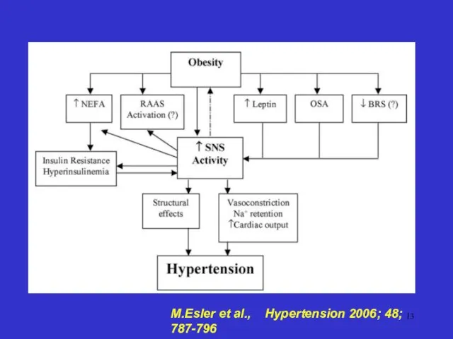 M.Esler et al., Hypertension 2006; 48; 787-796