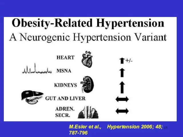 M.Esler et al., Hypertension 2006; 48; 787-796