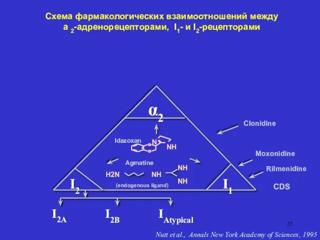 Схема фармакологических взаимоотношений между a 2-адренорецепторами, I1- и I2-рецепторами Clonidine H2N NH