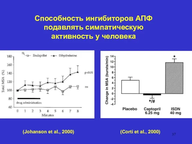 Способность ингибиторов АПФ подавлять симпатическую активность у человека (Johanson et al., 2000) (Corti et al., 2000)