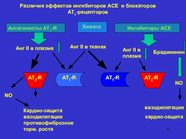 Антагонисты AT1-R Ингибиторы ACE Анг II в плазме Анг II в плазме