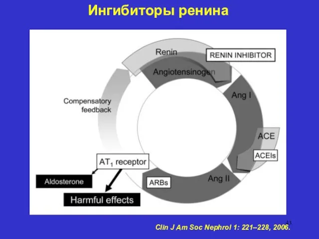 Ингибиторы ренина Clin J Am Soc Nephrol 1: 221–228, 2006.