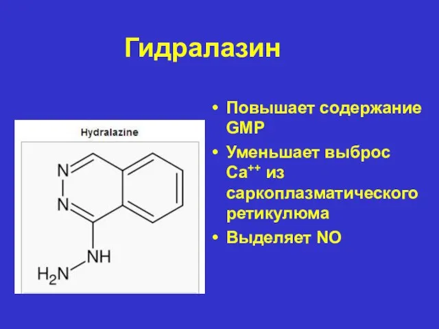 Гидралазин Повышает содержание GMP Уменьшает выброс Ca++ из саркоплазматического ретикулюма Выделяет NO