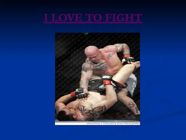 I LOVE TO FIGHT