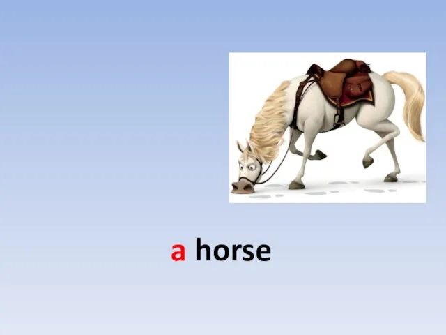 a horse