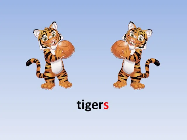 tigers