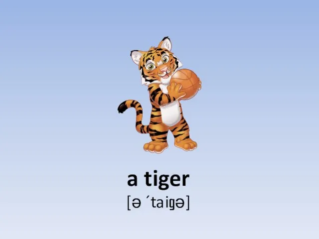 a tiger [ə ´taigə]