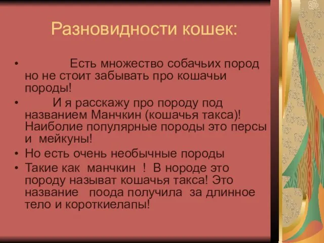 Разновидности кошек: Есть множество собачьих пород но не стоит забывать про кошачьи