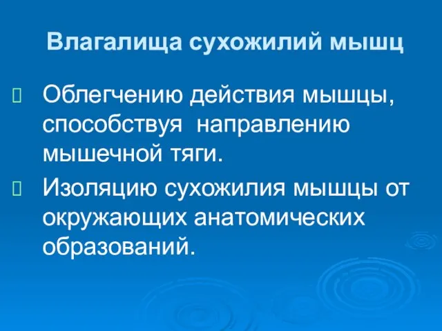 Влагалища сухожилий мышц Облегчению действия мышцы, способствуя направлению мышечной тяги. Изоляцию сухожилия