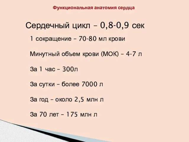 Сердечный цикл – 0,8-0,9 сек 1 сокращение – 70-80 мл крови Минутный