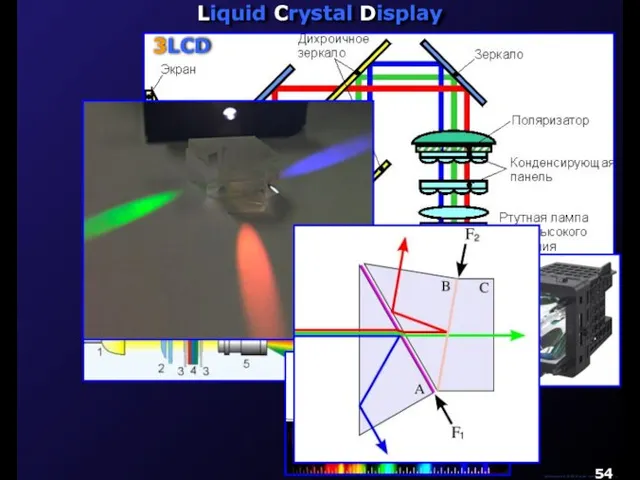 М.Кононов © 2009 E-mail: mvk@univ.kiev.ua Liquid Crystal Display