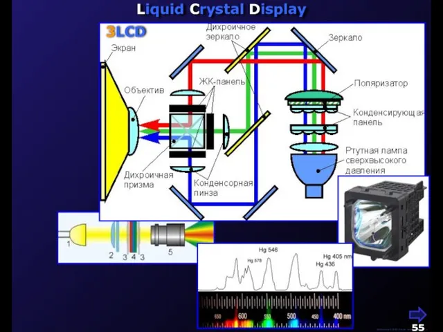 М.Кононов © 2009 E-mail: mvk@univ.kiev.ua Liquid Crystal Display