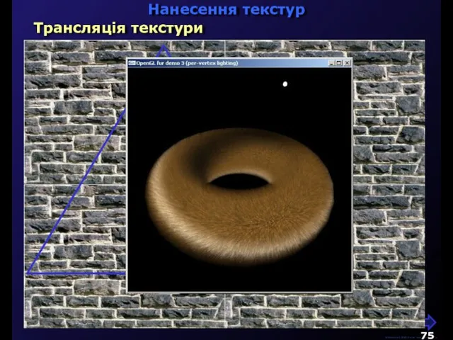 М.Кононов © 2009 E-mail: mvk@univ.kiev.ua Трансляція текстури Нанесення текстур