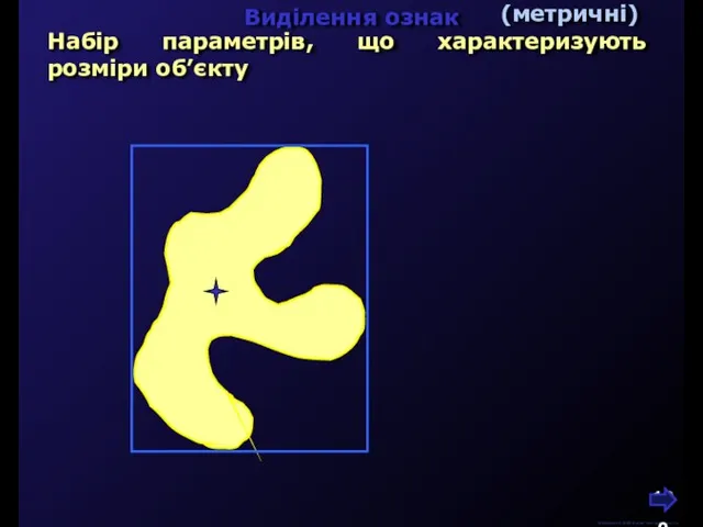 М.Кононов © 2009 E-mail: mvk@univ.kiev.ua Виділення ознак Набір параметрів, що характеризують розміри об’єкту (метричні)