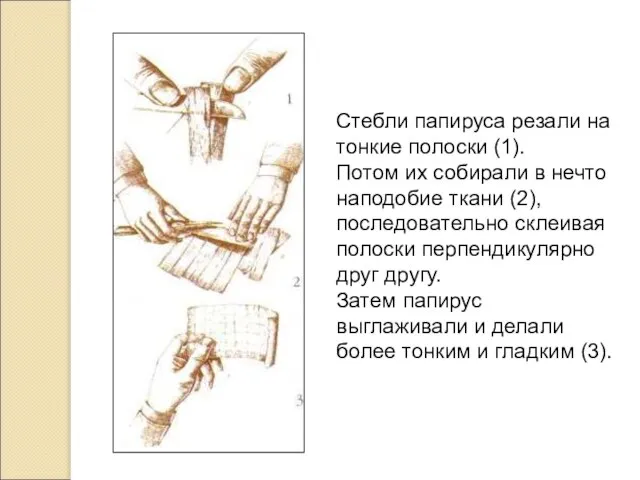 Стебли папируса резали на тонкие полоски (1). Потом их собирали в нечто