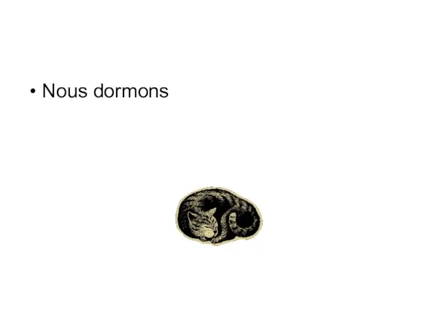 Nous dormons