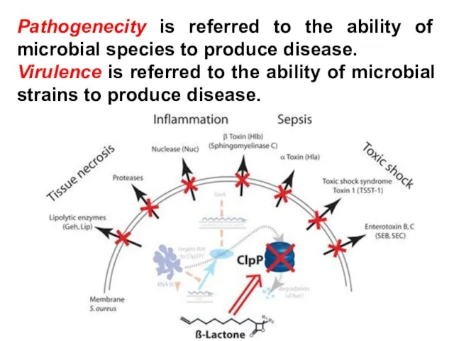 Pathogenecity is referred to the ability of microbial species to produce disease.