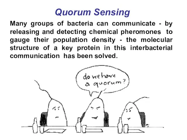 Quorum Sensing Many groups of bacteria can communicate - by releasing and