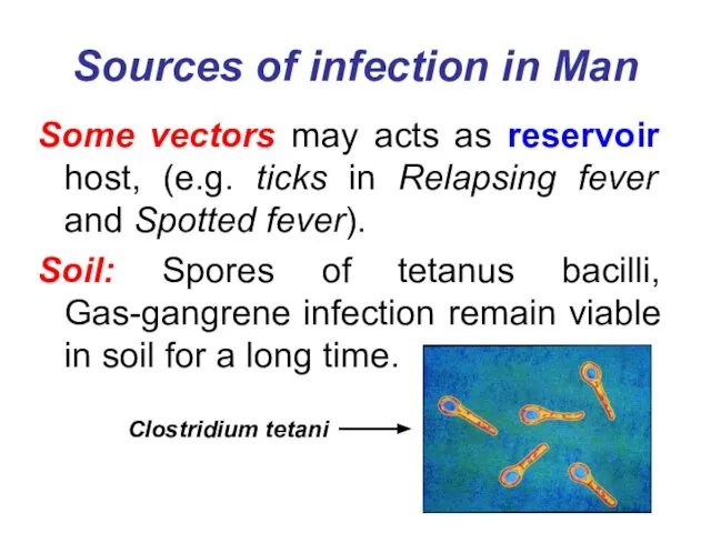 Sources of infection in Man Some vectors may acts as reservoir host,