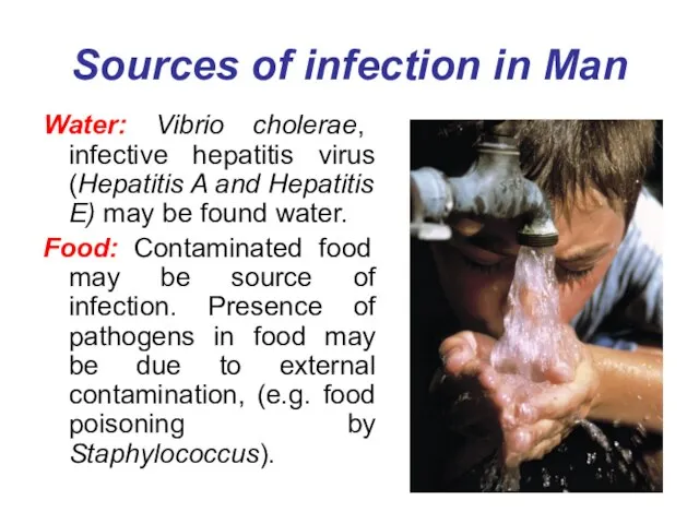 Sources of infection in Man Water: Vibrio cholerae, infective hepatitis virus (Hepatitis