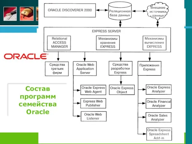 Состав программ семейства Oracle