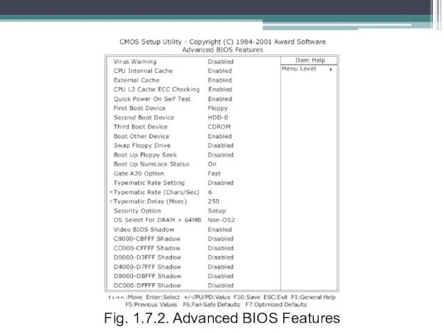 Fig. 1.7.2. Advanced BIOS Features