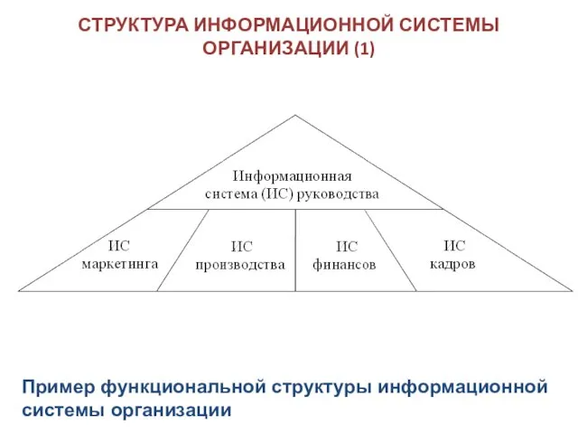 СТРУКТУРА ИНФОРМАЦИОННОЙ СИСТЕМЫ ОРГАНИЗАЦИИ (1) Пример функциональной структуры информационной системы организации