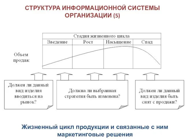 СТРУКТУРА ИНФОРМАЦИОННОЙ СИСТЕМЫ ОРГАНИЗАЦИИ (5) Жизненный цикл продукции и связанные с ним маркетинговые решения