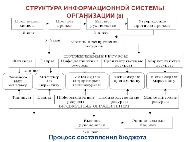 СТРУКТУРА ИНФОРМАЦИОННОЙ СИСТЕМЫ ОРГАНИЗАЦИИ (8) Процесс составления бюджета