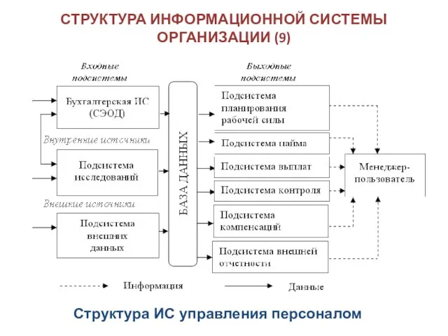 СТРУКТУРА ИНФОРМАЦИОННОЙ СИСТЕМЫ ОРГАНИЗАЦИИ (9) Структура ИС управления персоналом