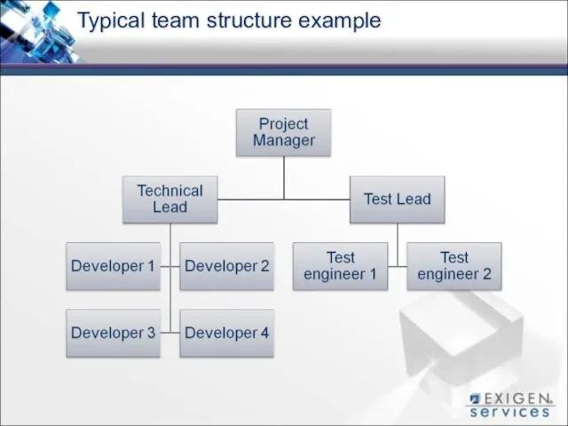 Typical team structure example