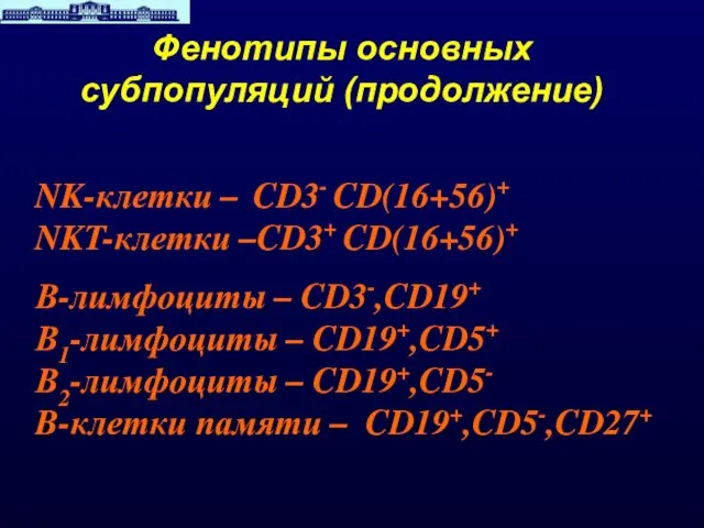 Фенотипы основных субпопуляций (продолжение) NK-клетки – CD3- CD(16+56)+ NKT-клетки –CD3+ CD(16+56)+ В-лимфоциты