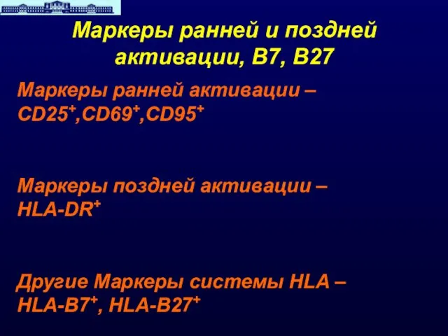 Маркеры ранней и поздней активации, B7, B27 Маркеры ранней активации – CD25+,CD69+,CD95+