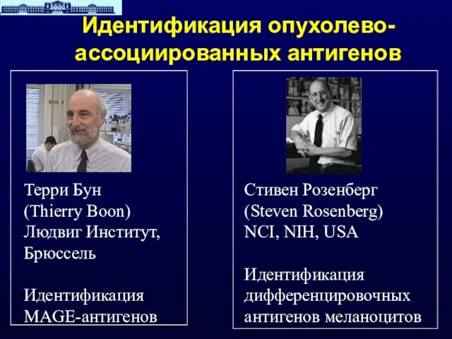 Идентификация опухолево- ассоциированных антигенов Терри Бун (Thierry Boon) Людвиг Институт, Брюссель Идентификация