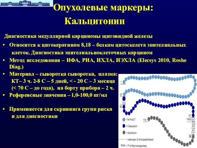 Опухолевые маркеры: Кальцитонин Диагностика медуллярной карциномы щитовидной железы Относится к цитокератинам 8,18