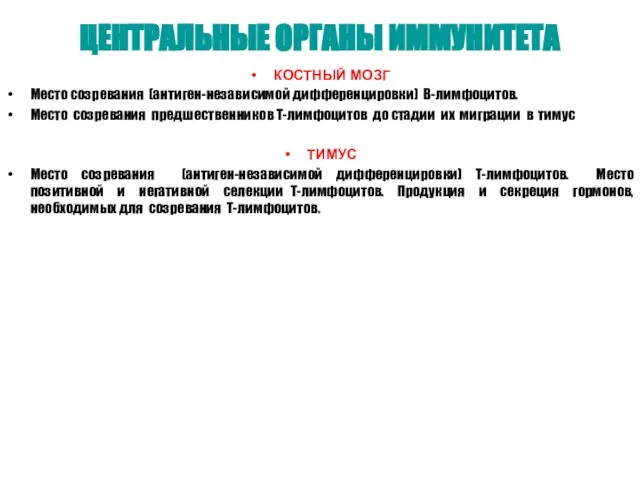 ЦЕНТРАЛЬНЫЕ ОРГАНЫ ИММУНИТЕТА КОСТНЫЙ МОЗГ Место созревания (антиген-независимой дифференцировки) В-лимфоцитов. Место созревания