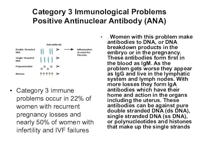 Category 3 Immunological Problems Positive Antinuclear Antibody (ANA) Category 3 immune problems